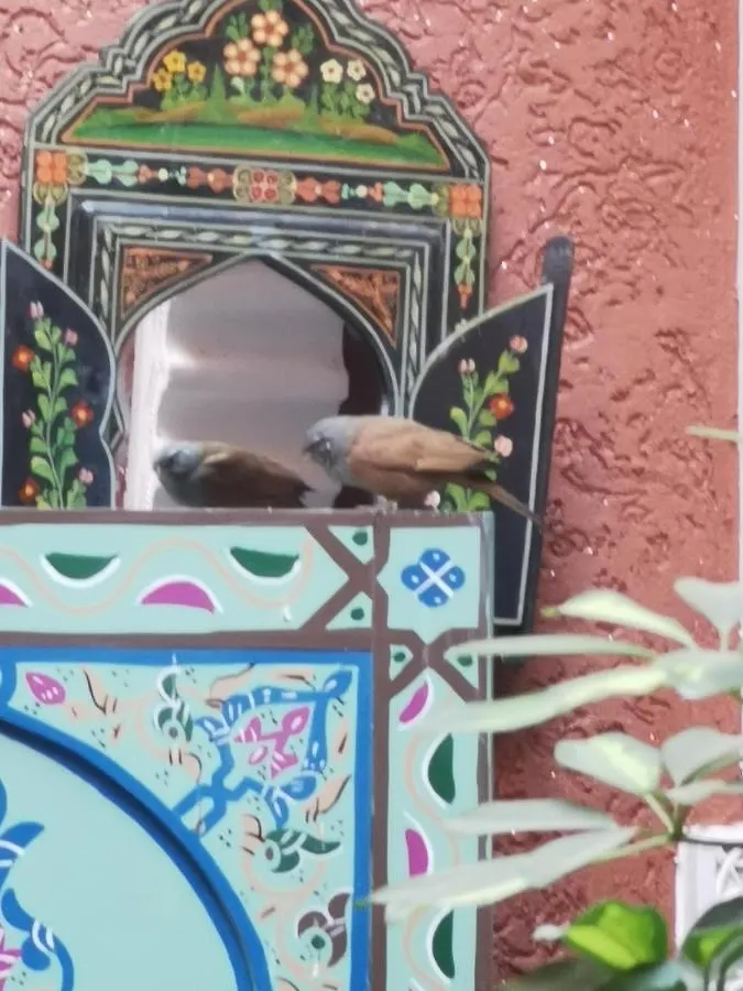 Dar Al Hayat Villa Marrakesh